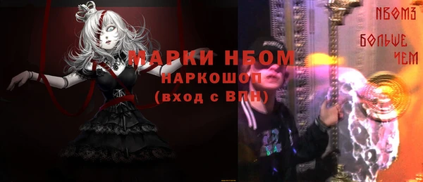 молекула духа Щигры